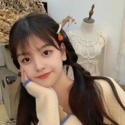 圣诞王子：皇家婚礼
